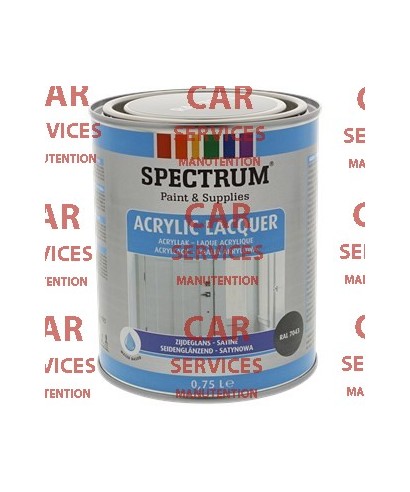 Peinture acrylique satinée Spectrum Pour intérieur et extérieur